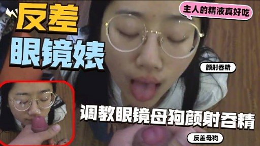 眼镜母狗颜射吞精 爆操调教骚穴